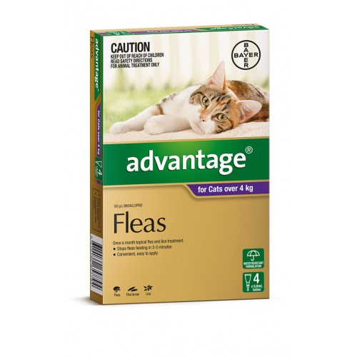 advantage fleas cats over 4 kg